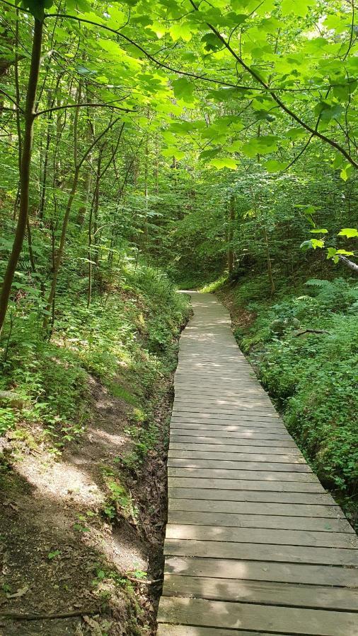 Pokoje Goscinne Maj - Rozewie Jastrzebia Gora Exterior foto